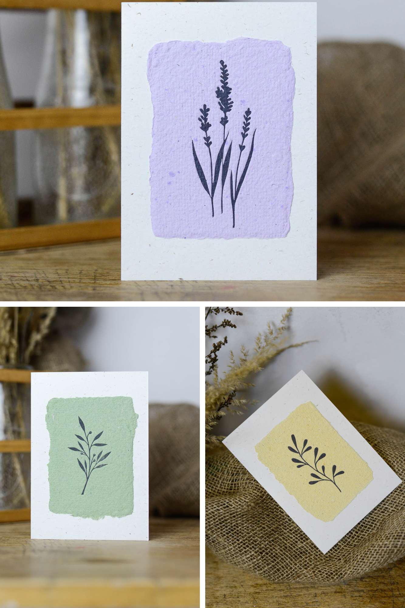 Atviručių rinkinys “Augalai”