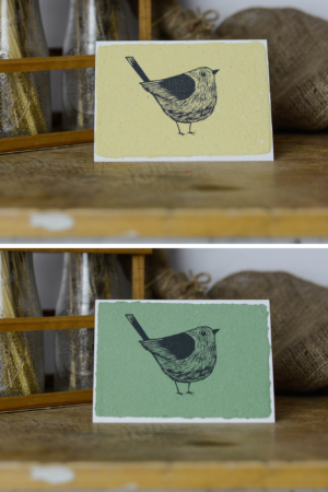 Atviručių rinkinys “Paukštukai”